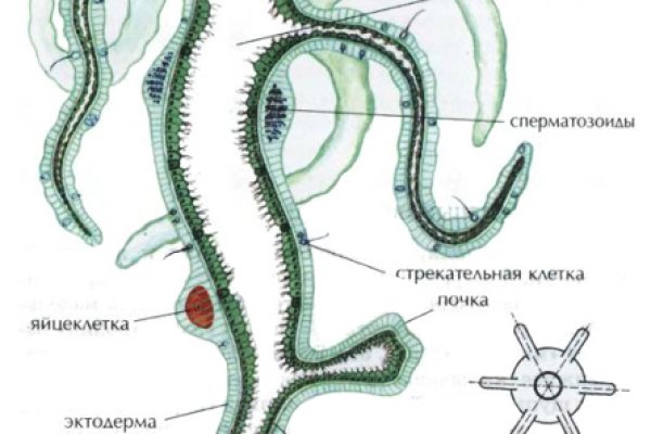 Сайт krn